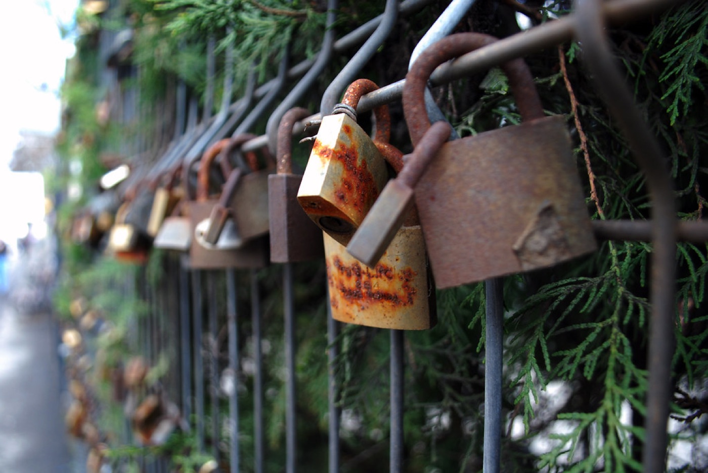 Padlock and security shield representing trust badges on a Shopify checkout