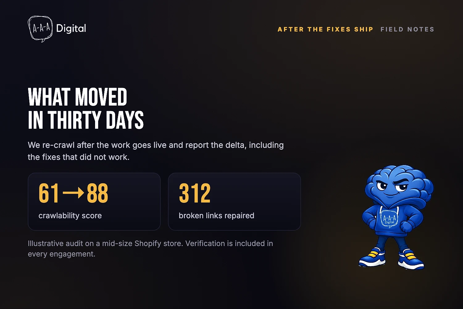 SEO Audit results dashboard
